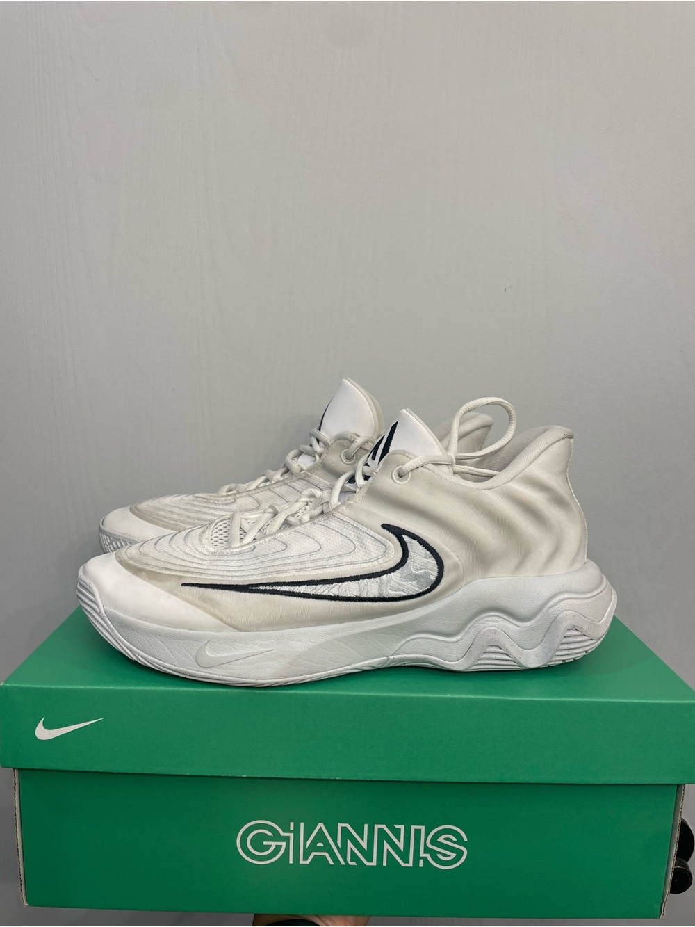 Nike Men's Giannis Immortality 4
Basketball Shoes